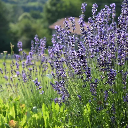 Holiday home Casa Cere Limana